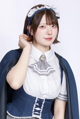 ニア・ラグドール・トワイライト