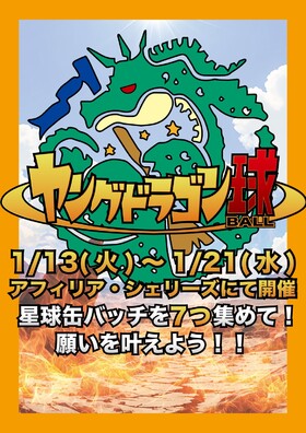 1/13～1/21　ヤングドラゴン球＠アフィリア・シェリーズ